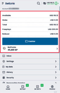 Encuentra-tu-saldo-de-dinero-real-y-o-jugadas-gratis-EN-paso3-Movil (1)