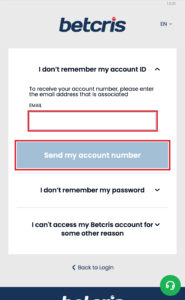 Problemas-para-iniciar-sesión-paso4-Movil-EN